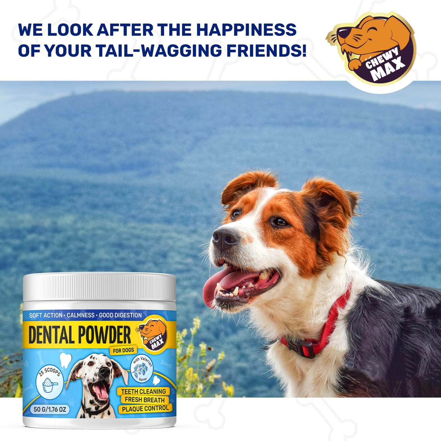 Dental Powder