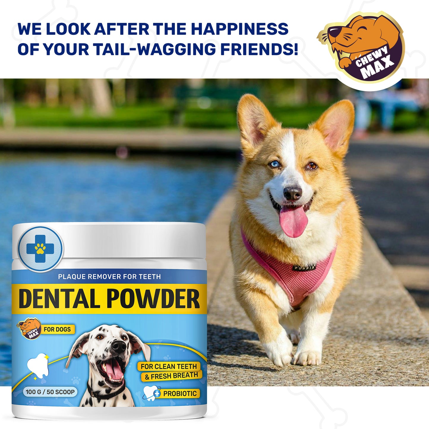 Dental Powder